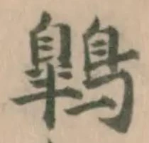 鷱 위치 확인됨