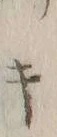 글자 公