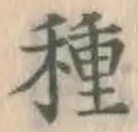 글자 種