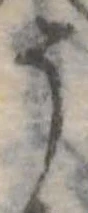 位置定マレル𛁚