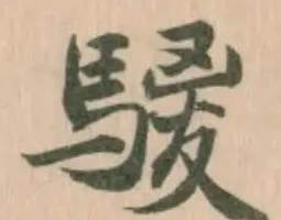 騣の位置