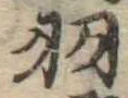 羽 위치 확인됨