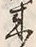 𡨸来