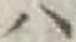 字ハ