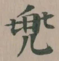 兠の位置