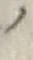 字ノ