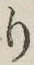 文字 り