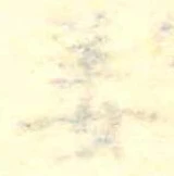 姜 위치 확인됨