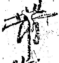 已定位帯