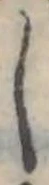 𛁅 위치 확인됨