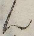 㐌定位𣗓檊