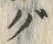 글자 ぐ