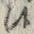 𡨸候