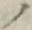 “ノ”字
