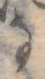 Đã định vị 𛂂