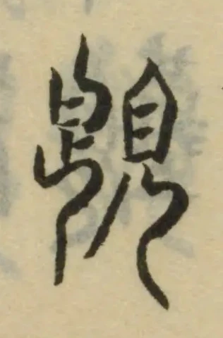 𧡨 위치 확인됨