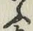 글자 ふ