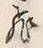 文字飛