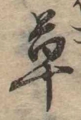 草 위치 확인됨