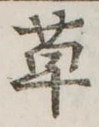 位置定マレル草