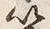 文字以