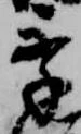 位置 確認된 季
