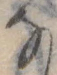 Đã định vị 𛂂