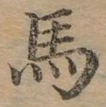 馬 위치 확인됨