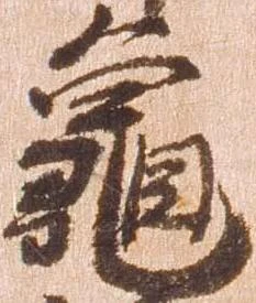 已定位亀