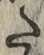 Character た