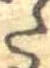 𛁠 위치 확인됨