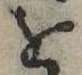 位置定マレル𛄜