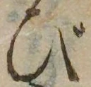 位置 確認된 び