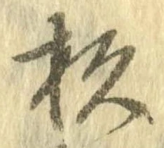 杉 위치 확인됨