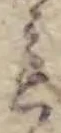 こ 위치 확인됨