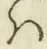 字は