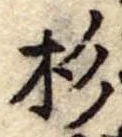 位置定マレル杉