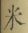 글자 米