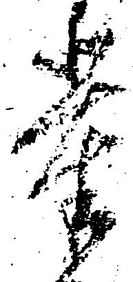 位置定マレル輩