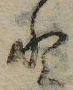 已定位𛁻