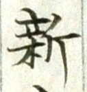 글자 新