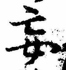 Đã định vị 妄