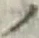 字ノ