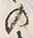 文字 の