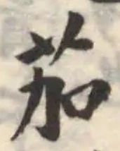 位置定マレル茄
