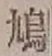 글자 鳩