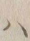 字ハ