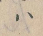 已定位𛂞