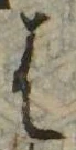 𛂦の位置