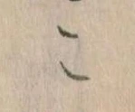 この位置